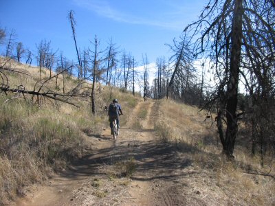 Kanaka Loop in Burned Area